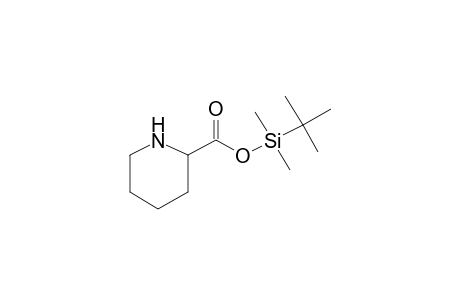 tert-Butyl(dimethyl)silyl 2-piperidinecarboxylate