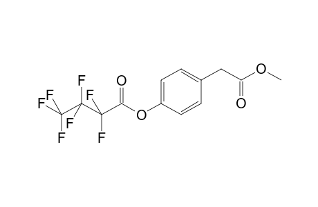 4-Hydroxyphenylacetic acid MEHFB    @