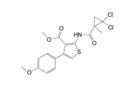 methyl 2-{[(2,2-dichloro-1-methylcyclopropyl)carbonyl]amino}-4-(4-methoxyphenyl)-3-thiophenecarboxylate