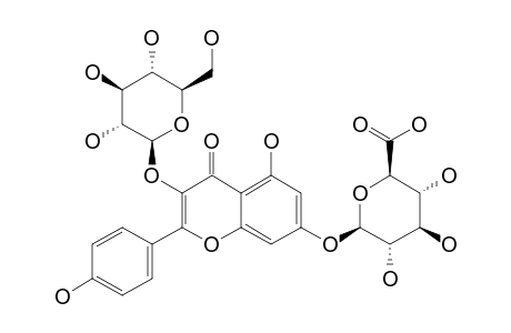 KAEMPFEROL-3-O-BETA-GLUCOSIDE-7-O-BETA-GLUCURONIDE