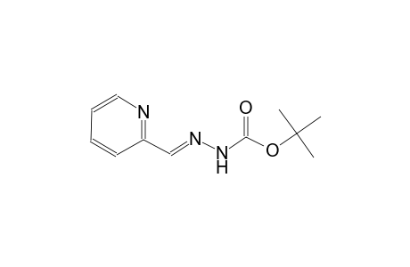 pyridine, 2-[(E)-[[(1,1-dimethylethoxy)carbonyl]hydrazono]methyl]-