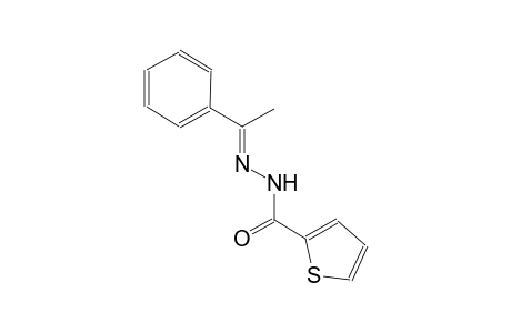 N'-[(E)-1-phenylethylidene]-2-thiophenecarbohydrazide