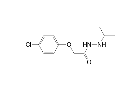 Acetic acid, (4-chlorophenoxy)-, 2-(1-methylethyl)hydrazide