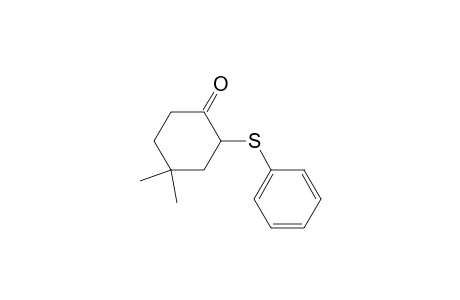 4,4-Dimethyl-2-(phenylthio)cyclohexanone