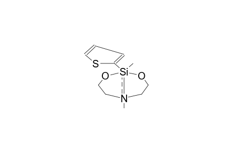 2-(2-THIENYL)-2,6-DIMETHYL-1,3,2,6-DIOXAZASILACYCLOOCTANE