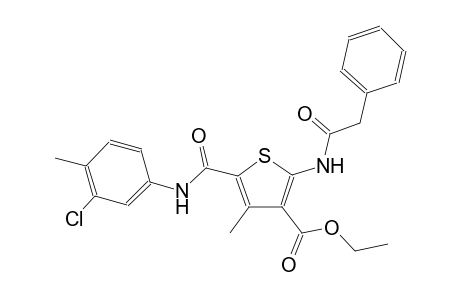 3-thiophenecarboxylic acid, 5-[[(3-chloro-4-methylphenyl)amino]carbonyl]-4-methyl-2-[(phenylacetyl)amino]-, ethyl ester