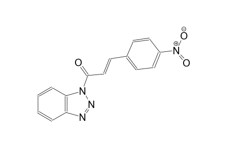 1-[(2E)-3-(4-nitrophenyl)-2-propenoyl]-1H-1,2,3-benzotriazole