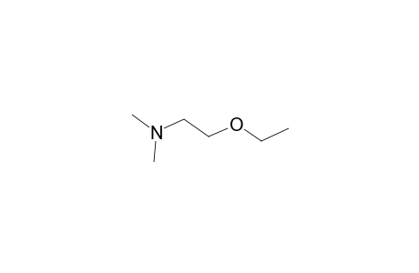2-Ethoxy-N,N-dimethylethanamine