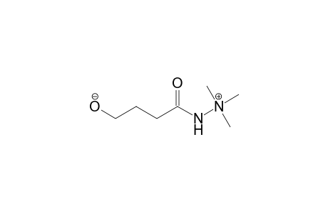 Hydrazinium, 2-(4-hydroxy-1-oxobutyl)-1,1,1-trimethyl-, hydroxide, inner salt