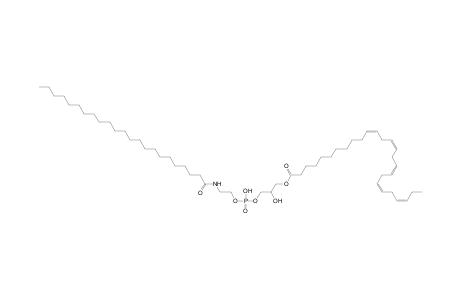 LNAPE 26:5/N-23:0