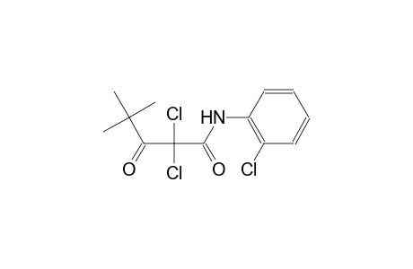 2,2-dichloro-N-(2-chlorophenyl)-4,4-dimethyl-3-oxopentanamide