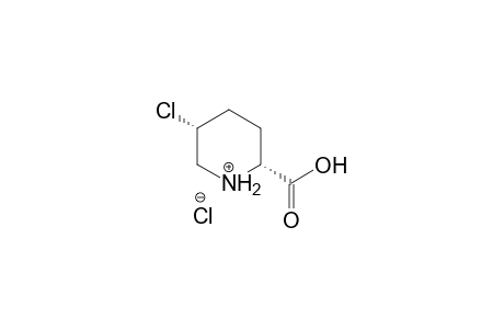 (2R,5R)-2-carboxy-5-chloropiperidinium chloride