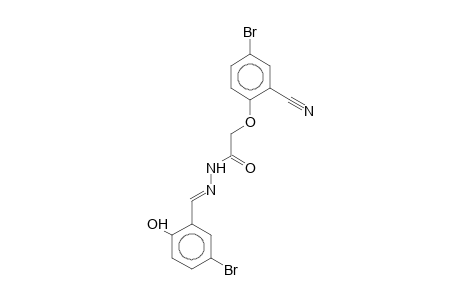 2-(4-Bromo-2-cyanophenoxy)-N'-(5-bromosalicylidene)acethydrazide