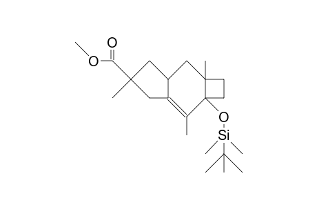 10b-Carboxymethyl-2,6b,10a-trimethyl-3b-(T-butyl-dimethyl-silyloxy)-cis, cis-tricyclo(6.3.0.0/3,6)undec-1-ene