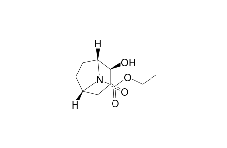 Ethyl (1R*,2R*,5S*)-(+-)-2-Hydroxy-3-oxo-8-azabicyclo[3.2.1]octane-8-carboxylate