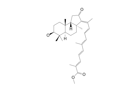 RHABDASTRELLIN_E