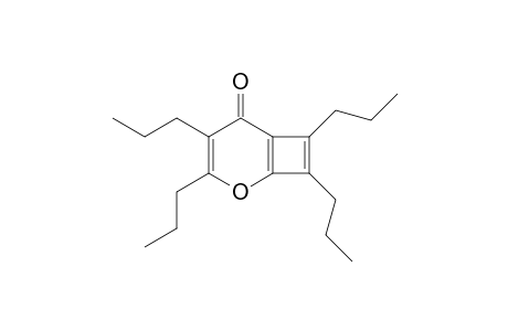 3,4,7,8-TETRAPROPYL-2-OXA-BICYCLO-[4.2.0]-OCTA-1(6),3,7-TRIEN-5-ONE