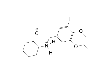 N-(3-ethoxy-5-iodo-4-methoxybenzyl)cyclohexanaminium chloride