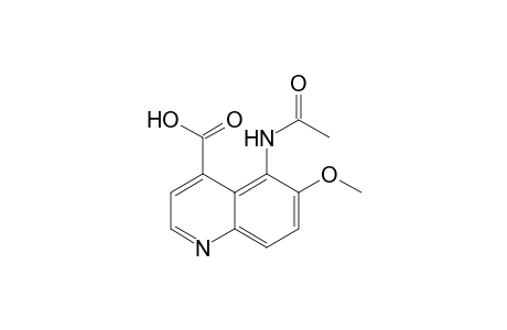 5-Acetamido-6-methoxy-4-quinolinecarboxylic acid