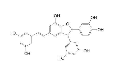 (E)- 5-[.beta.-(3,5-Dihydroxyphenyl)ethenyl]-2-(3',5'-dihydroxyphenyl)-3-(3",4"-dihydroxyphenyl)-7-hydroxy-2,3-dihydrobenzofuran