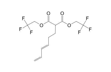 2-[(3E)-hexa-3,5-dienyl]malonic acid bis(2,2,2-trifluoroethyl) ester