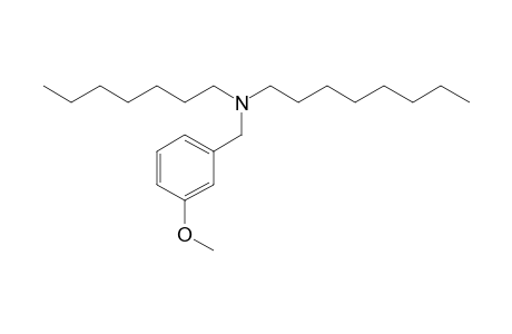 3-Methoxybenzylamine, N-heptyl-N-octyl-
