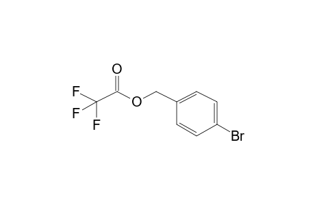 4-Bromobenzyl 2,2,2-trifluoroacetate