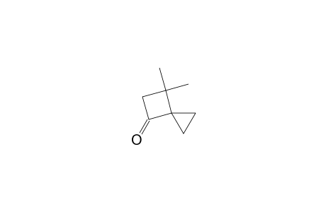 6,6-Dimethyl-spiro[2.3]hexan-4-one