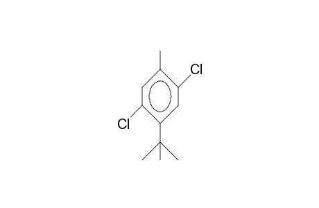 2,5-Dichloro-4-tert-butyl-toluene