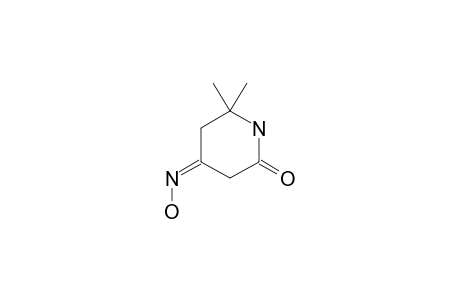 4-HYDROXIMINO-6,6-DIMETHYLPIPERIDIN-2-ONE;MAIN-COMPONENT