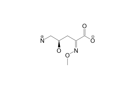 (E)-(4R)-5-AMINO-4-HYDROXY-2-(METHOXYIMINO)-PENTANOIC-ACID