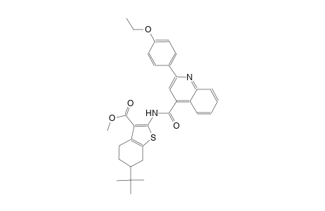 methyl 6-tert-butyl-2-({[2-(4-ethoxyphenyl)-4-quinolinyl]carbonyl}amino)-4,5,6,7-tetrahydro-1-benzothiophene-3-carboxylate