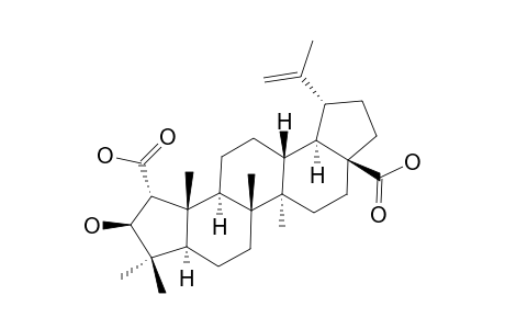 CEANOTHIC-ACID;2-ALPHA-CARBOXY-3-BETA-HYDROXY-A(1)-NORLUP-20(29)-EN-28-OIC-ACID