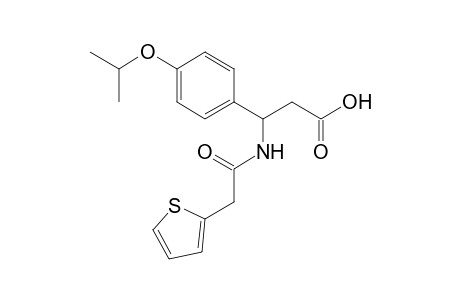 3-(4-isopropoxyphenyl)-3-[[2-(2-thienyl)acetyl]amino]propanoic acid