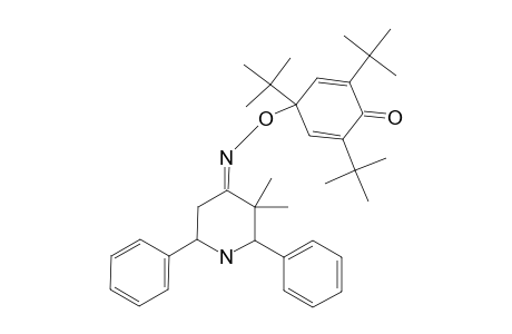 2,6-DIPHENYL-3,3-DIMETHYLPIPERIDIN-4-ONE-O-(2,4,6-TRITERT.BUTYL-CYCLOHEXA-2,5-DIENON-4-YL)-OXIME