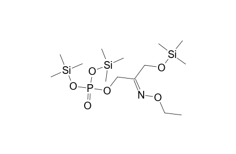 Phosphoric acid, 2-(ethoxyimino)-3-[(trimethylsilyl)oxy]propyl bis(trimethylsilyl) ester, (E)-