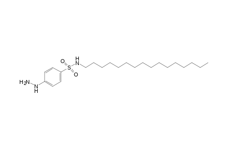 N-hexadecyl-p-hydrazinobenzenesulfonamide