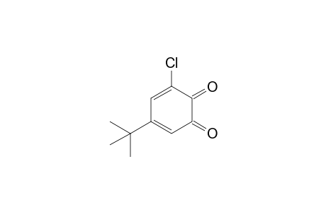 5-tert-butyl-3-chloro-o-benzoquinone