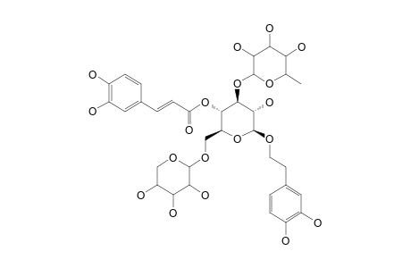 BETA-D-(3',4'-DIHYDROXYPHENYL)-ETHYL-O-ALPHA-L-RHAMNOPYRANOSYL-(1->3)-BETA-D-[BETA-D-XYLOPYRANOSYL-(1->6)]-(4-O-CAFFEOYL)-GLUCOPYRANOSIDE;ARENARIOSIDE