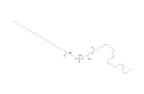 LNAPE 26:7/N-23:0