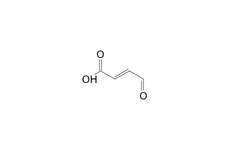 (2E)-4-Oxo-2-butenoic acid