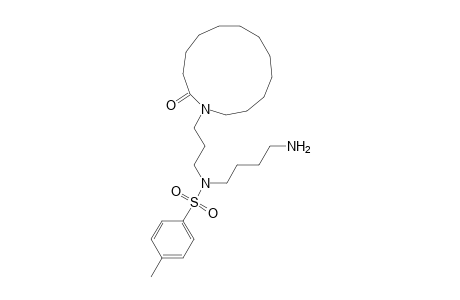 Benzenesulfonamide, N-(4-aminobutyl)-4-methyl-N-[3-(2-oxoazacyclotridec-1-yl)propyl]-