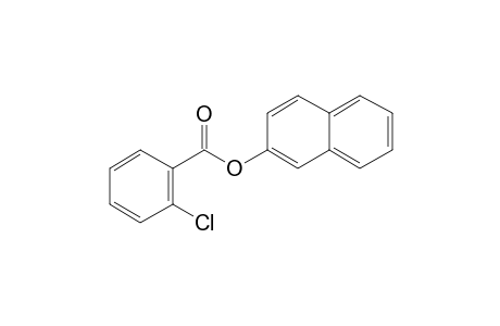 2-Chlorobenzoic acid, 2-naphthyl ester