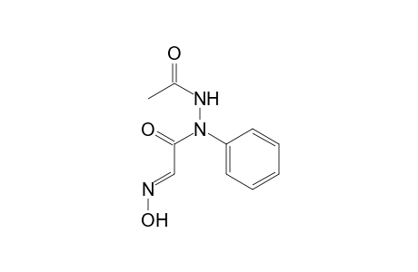 (2E)-N'-acetyl-2-(hydroxyimino)-N-phenylethanohydrazide