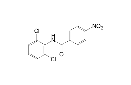 2',6'-dichloro-4-nitrobenzanilide