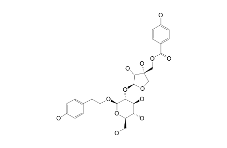 2-(4-HYDROXYPHENYL)-ETHYL-[5-O-(4-HYDROXYBENZOYL)]-O-BETA-D-APIOFURANOSYL-(1->2)-BETA-D-GLUCOPYRANOSIDE