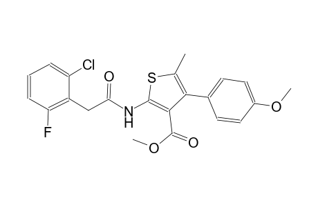 methyl 2-{[(2-chloro-6-fluorophenyl)acetyl]amino}-4-(4-methoxyphenyl)-5-methyl-3-thiophenecarboxylate