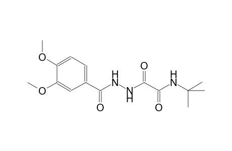 N-(tert-butyl)-2-[2-(3,4-dimethoxybenzoyl)hydrazino]-2-oxoacetamide