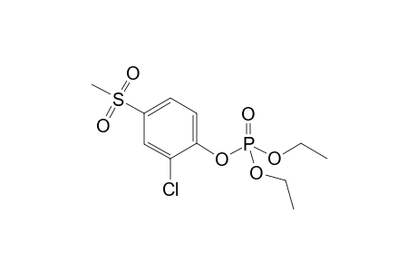 2-Chloro-4-(methylsulfonyl)-phenyl diethyl ester phosphoric acid