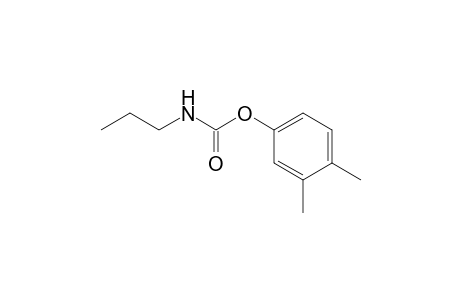 Carbamic acid, propyl-, 3,4-dimethylphenyl ester